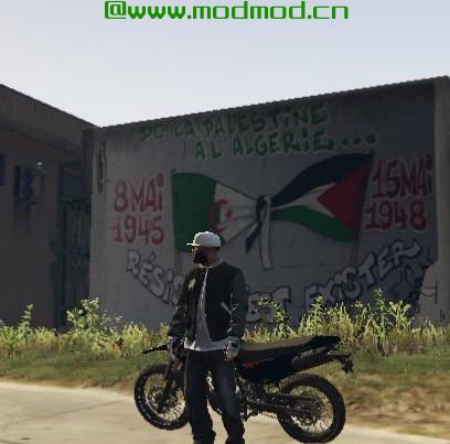 侠盗猎车手5「GTA5」Mod: 阿尔及利亚和巴勒斯坦涂鸦