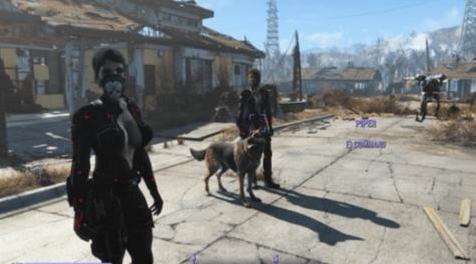 辐射4MOD 无限伴侣框架