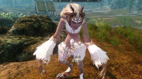 上古卷轴5：天际MOD 一个meinv狼人坐骑
