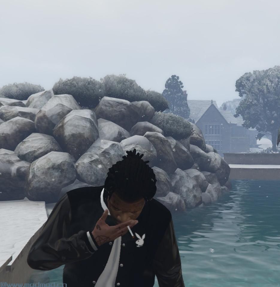 侠盗猎车手5「GTA5」Mod: 花花公子外套