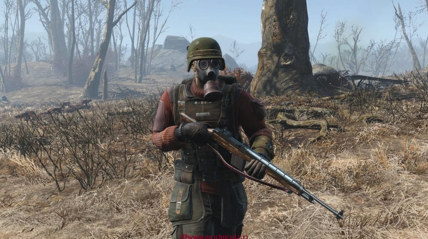 辐射4MOD M14独立步枪