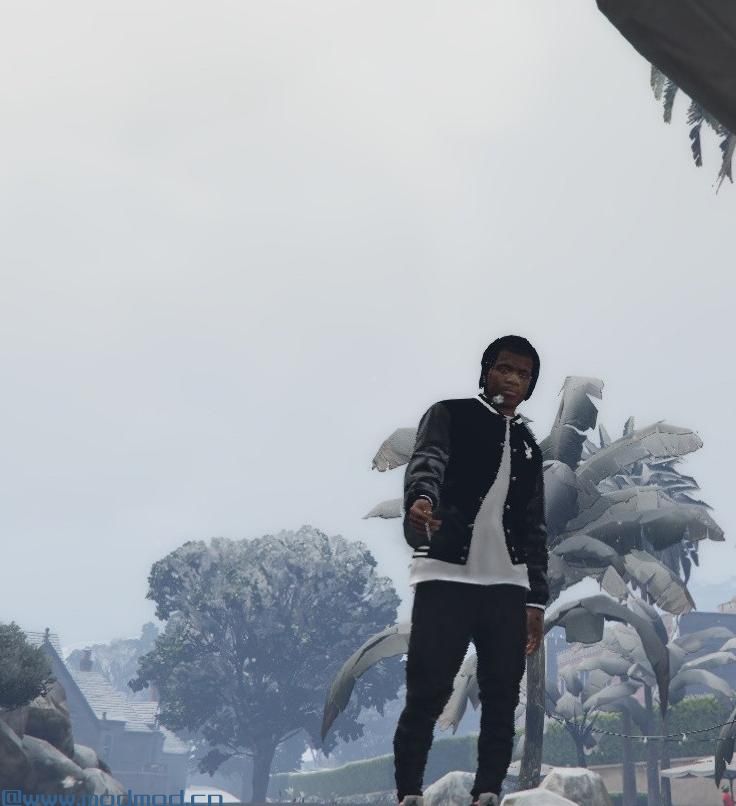 侠盗猎车手5「GTA5」Mod: 花花公子外套