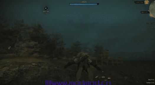 巫师3：狂猎MOD Old Hud（老式的Hud)