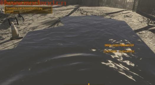 辐射4MOD 池塘