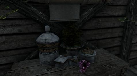 上古卷轴5：重置版MOD 暗水温泉小屋