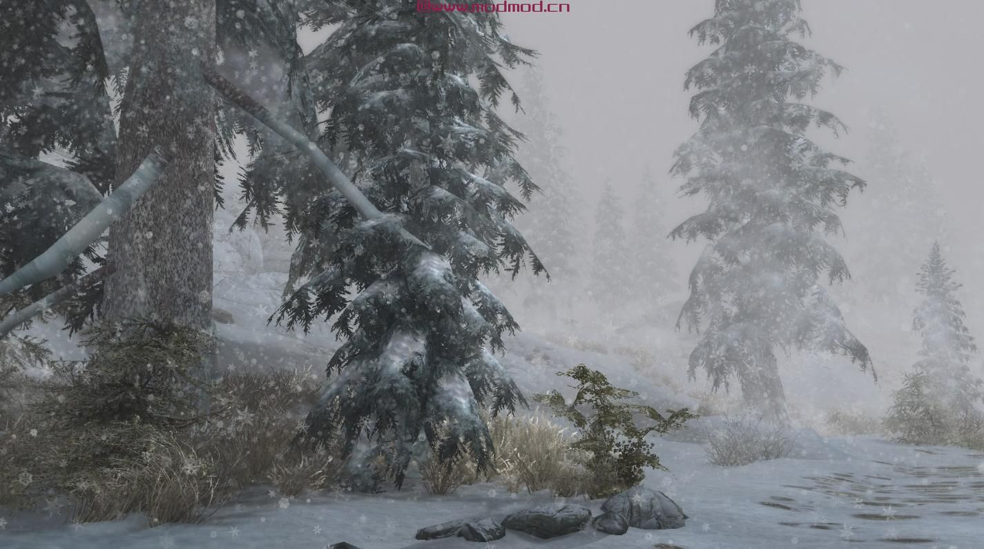 高清雪花