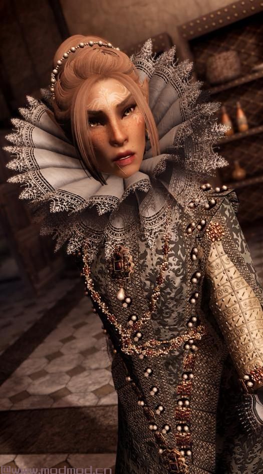 Kozakowy的1600 Isabella De Bourbon Court礼服 -  UNP  -  SSE