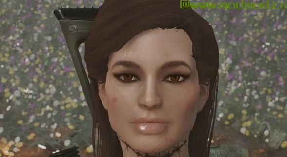 辐射4MOD 真正的高清脸纹理2k