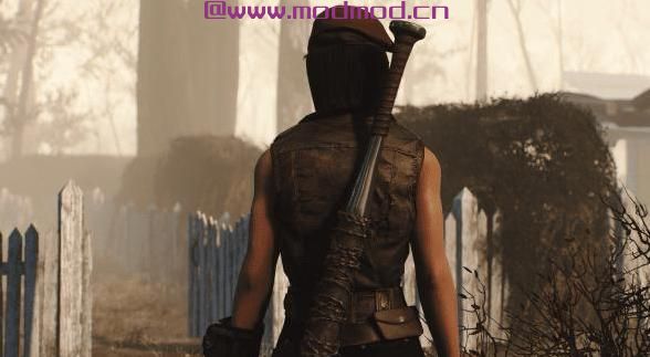 辐射4MOD 只是可见的手持武器