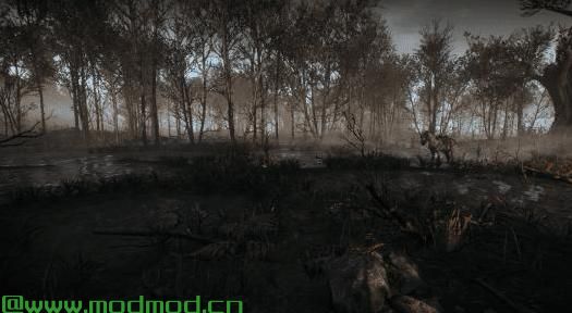 巫师3：狂猎MOD WO Lighting Everywhere与其他Lighting mods兼容