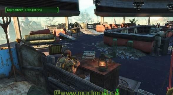 可见伴侣亲和力