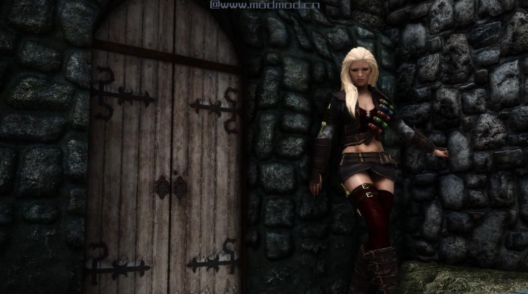 上古卷轴5：重置版MOD 辉煌的单独的门更换SE（Glorious Solitude Door Replacer SE）