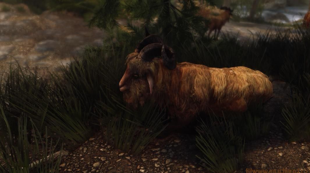 上古卷轴5：重置版MOD Pfuscher的GOAT 高清