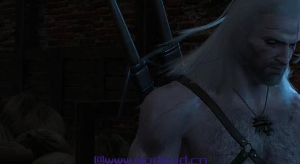 巫师3：狂猎MOD Geralt Bodyhair（毛发旺盛）