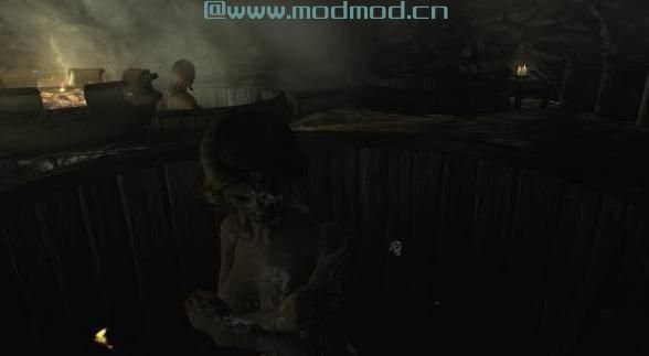 上古卷轴5：天际MOD 客栈浴室 7月25日更新V2.5 Friendlier Taverns with B