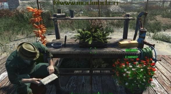 NorthlandDiggers Resources - 动物 - 风景 - 花园等......