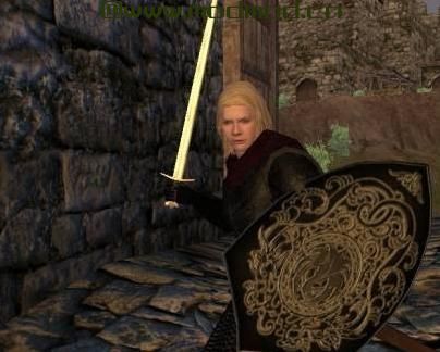 骑马与砍杀MOD Native Expansion 扩张