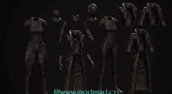 辐射4MOD CROSS_Courser Strigidae