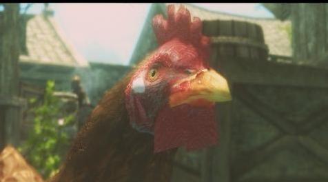 上古卷轴5：天际MOD 高清鸡神两种颜色版2K&1K，极好的韭葱-chicken HD，The glorious Leek