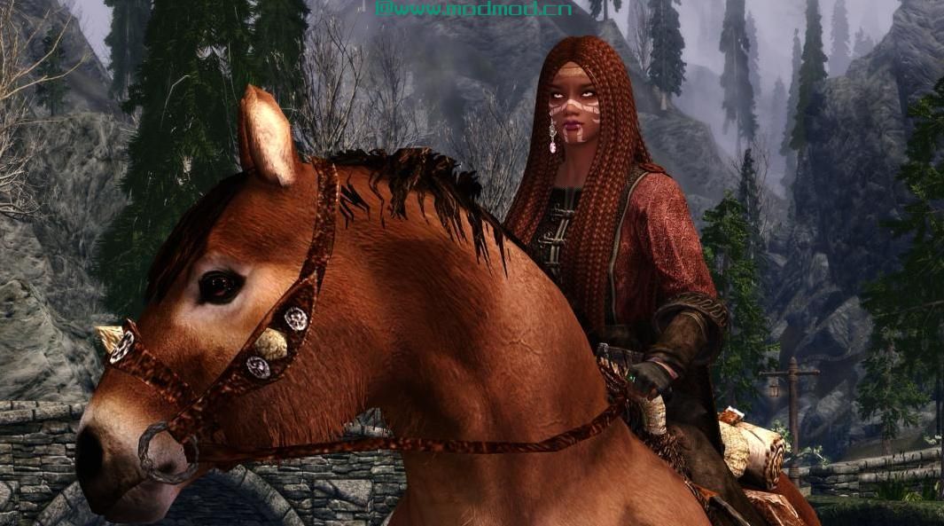 上古卷轴5：重置版MOD Solange红卫兵随从