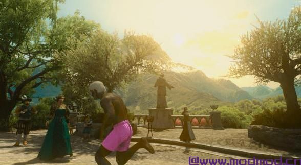 巫师3：狂猎MOD 深色皮肤的Geralt