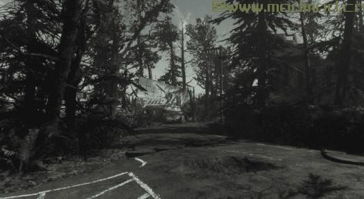 辐射4MOD 松树重做 -  BNS