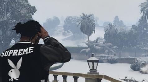 侠盗猎车手5「GTA5」Mod: 花花公子外套
