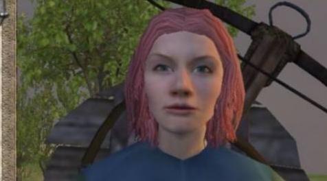 骑马与砍杀MOD Alternate Hair Colours 替换头发颜色