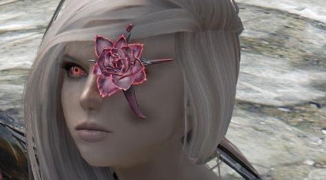 上古卷轴5：天际MOD 独立随从-阿丽玛：热血勇士▲Anima- Champion of Sanguine