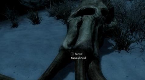 上古卷轴5：重置版MOD 可收获的猛犸象头骨替换ESP与JK Skyrim兼容