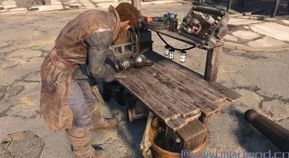 NorthlandDiggers Resources - 动物 - 风景 - 花园等......