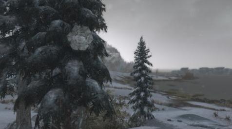 上古卷轴5：天际MOD 高清雪花