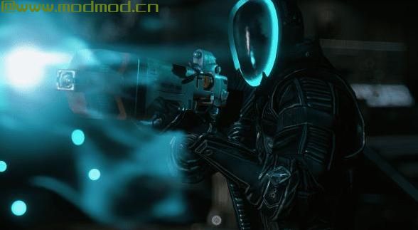 CROSS_Courser Strigidae