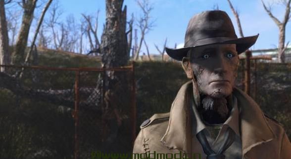 辐射4MOD VOGUE ENB  - 现实主义