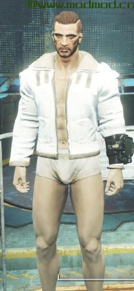 辐射4MOD 联邦的夹克和外套