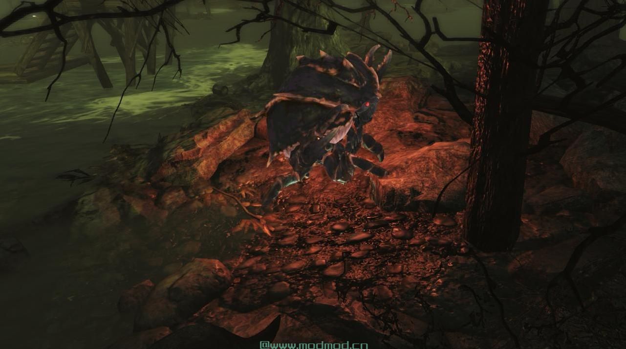 发光的动物发光