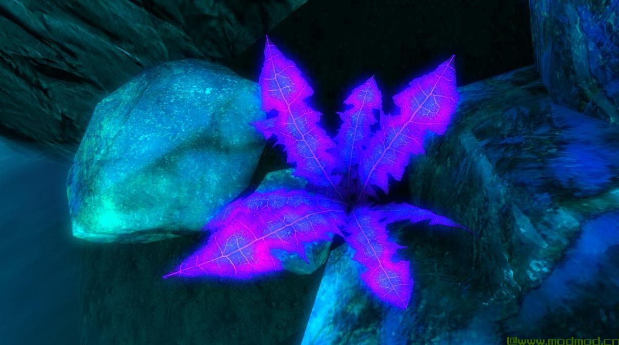 上古卷轴5：重置版MOD 审美的nirnroots