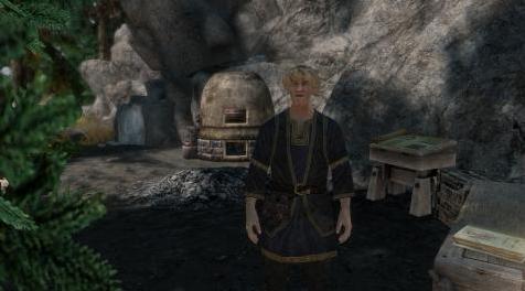 上古卷轴5：重置版MOD Hearthfire Trader（多功能一体机）