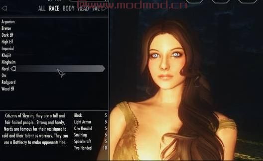 上古卷轴5：天际MOD 捏脸插件 RaceMenu v3.4.5汉化版
