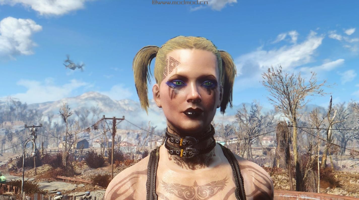 辐射4MOD 毒性入侵者盔甲