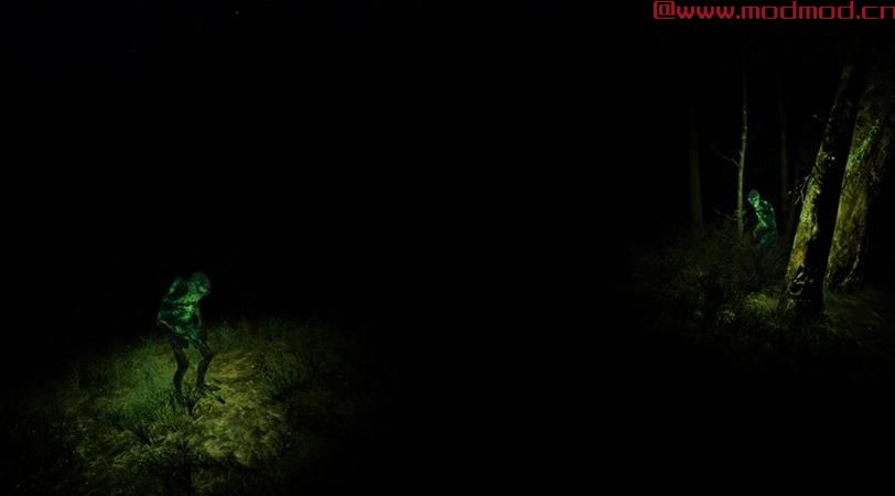 发光的动物发光