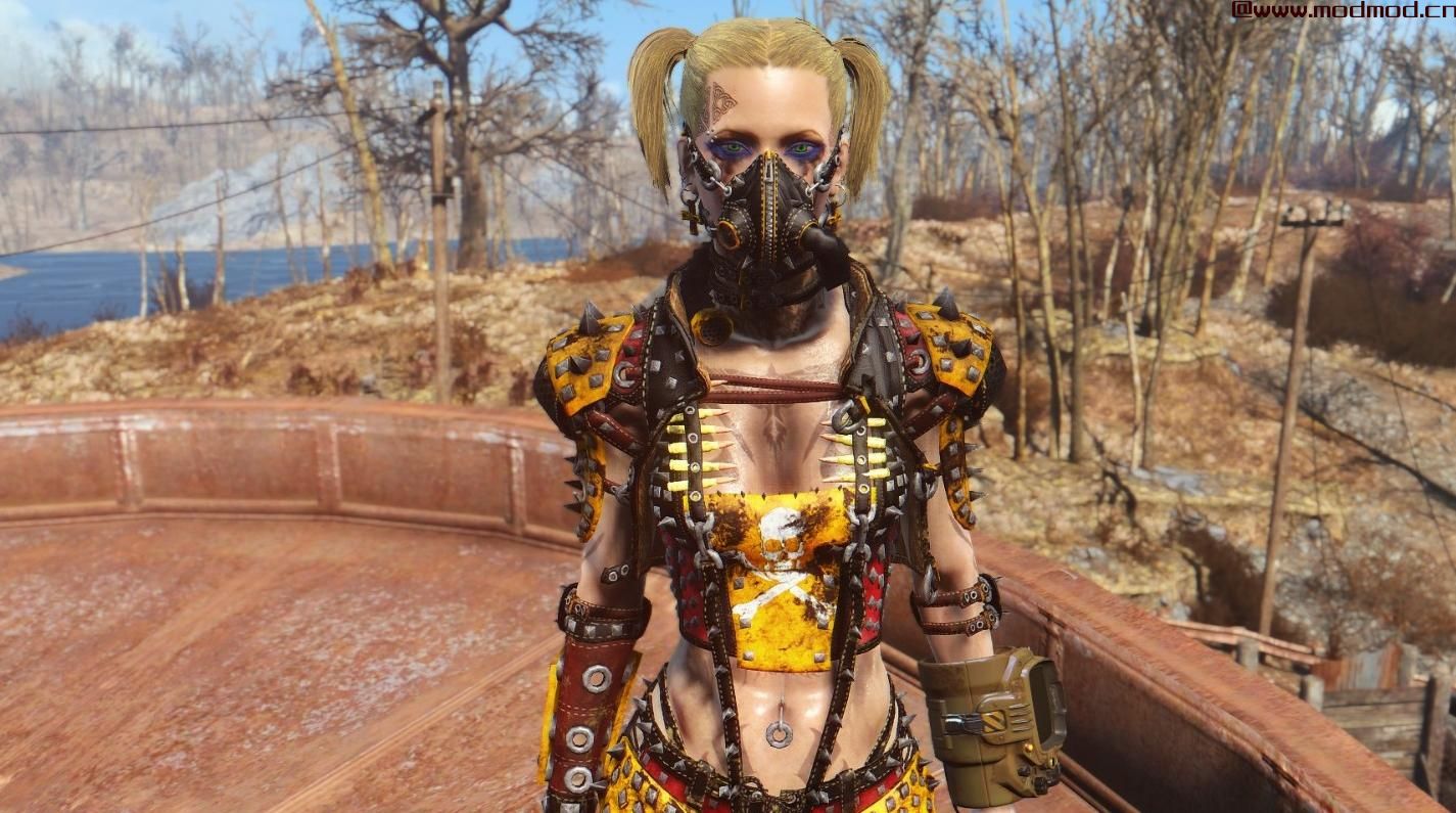 辐射4MOD 毒性入侵者盔甲