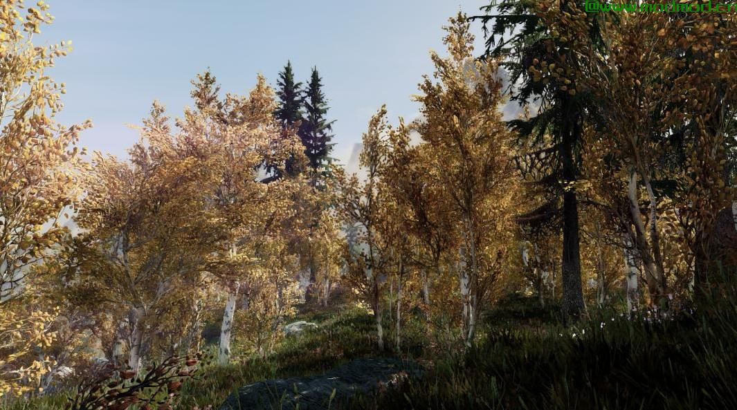 上古卷轴5：重置版MOD PhotetraX ENB