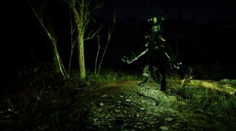 辐射4MOD 发光的动物发光