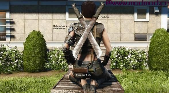 Crimsomrider配件（AWKCR-AE）