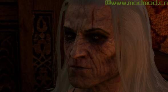 巫师3：狂猎MOD 吸血鬼面容Geralt