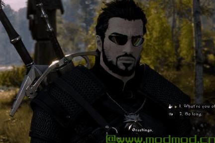 巫师3：狂猎MOD Geralt Deus Ex（头部模型纹理）