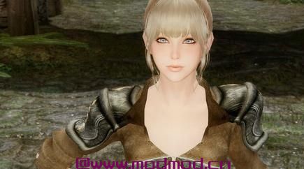 上古卷轴5：天际MOD 莱姆套装 V1.0