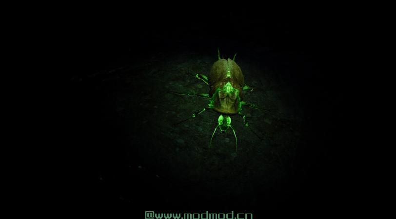 发光的动物发光