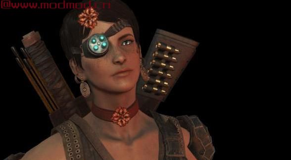 Crimsomrider配件（AWKCR-AE）